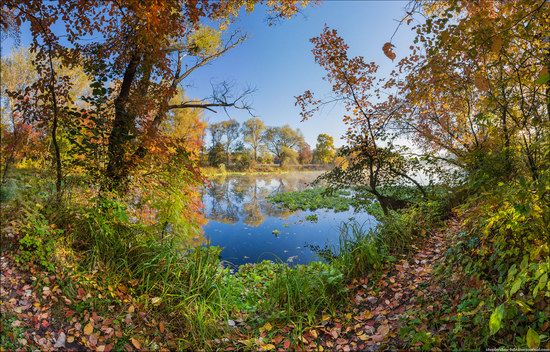 Golden autumn in Ukraine