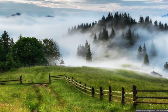 Dzembronya mystical fog, the Ukrainian Carpathians, photo 1