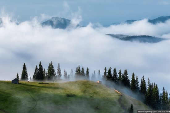 Dzembronya mystical fog, the Ukrainian Carpathians, photo 2