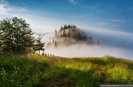 Dzembronya mystical fog, the Ukrainian Carpathians, photo 4