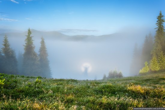 Dzembronya mystical fog, the Ukrainian Carpathians, photo 7