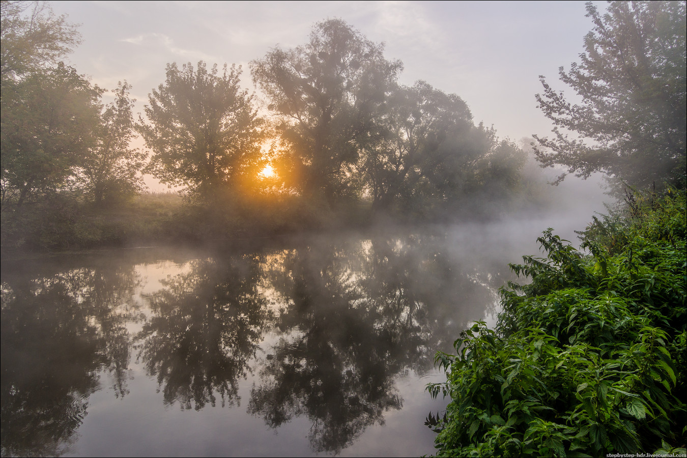 Стихотворение забелелся туман над рекой. И туман прозрачный лежит у реки. Забелелся туман над рекой. Плывут туманы белые. Утро в Украине.