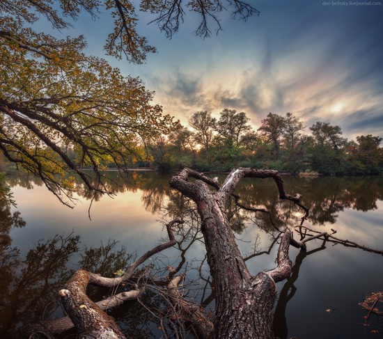 The fall on the island of Khortytsia, Zaporozhye, Ukraine, photo 4