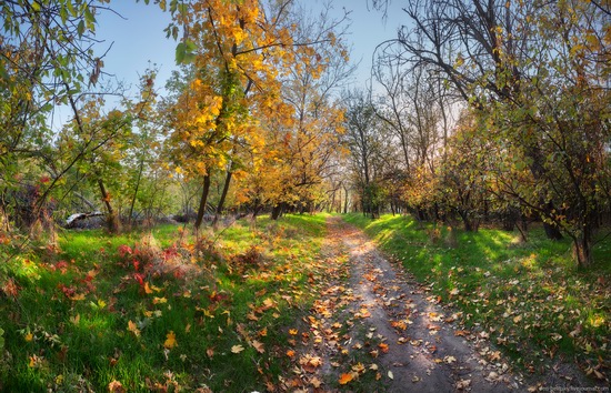 The fall on the island of Khortytsia, Zaporozhye, Ukraine, photo 6