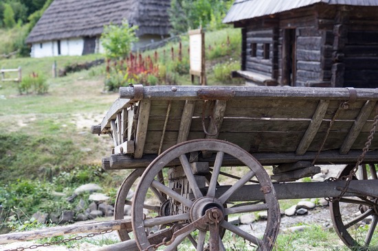 The Museum of Folk Architecture and Life of Ukraine, photo 20