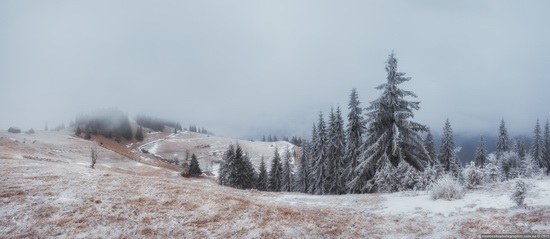 Dairy morning and caramel sunset in the Carpathians, Ukraine, photo 6