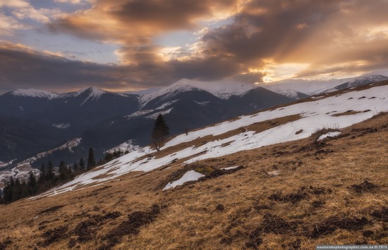 Dairy morning and caramel sunset in the Carpathians, Ukraine, photo 8