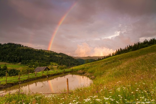 Summer evenings in the Ukrainian Carpathians, photo 1