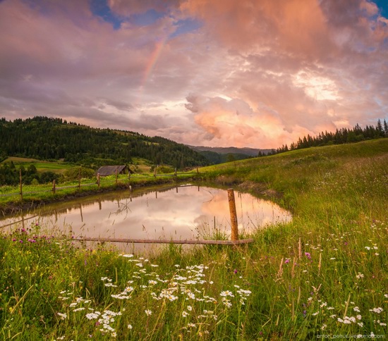 Summer evenings in the Ukrainian Carpathians, photo 3