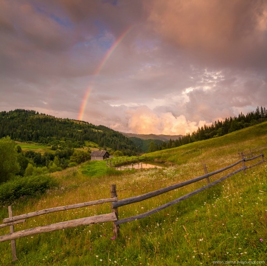 Summer evenings in the Ukrainian Carpathians, photo 4