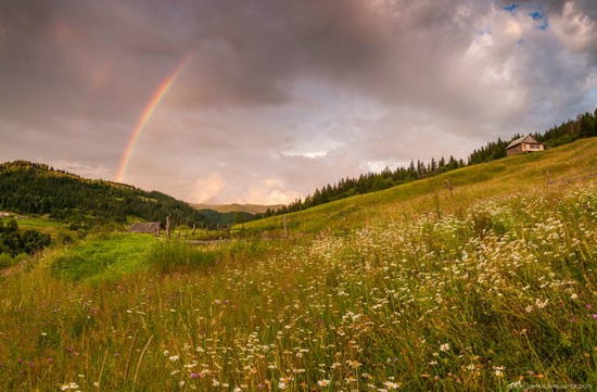 Summer evenings in the Ukrainian Carpathians, photo 6