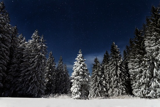 Winter in the Ukrainian Carpathians, photo 1