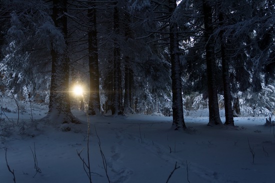 Winter in the Ukrainian Carpathians, photo 4