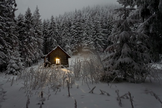 Winter in the Ukrainian Carpathians, photo 6