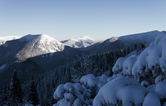 Winter in the Ukrainian Carpathians, photo 7