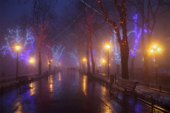 Winter in Odessa, Ukraine, photo 1