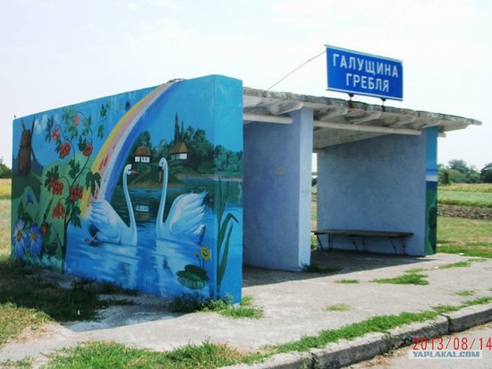 Painted bus stops in Poltava region, Ukraine, photo 3