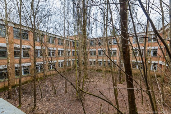 Chernobyl zone 29 years later, Ukraine, photo 10