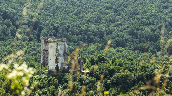 Chervonograd palace remains, Ternopil region, Ukraine, photo 5