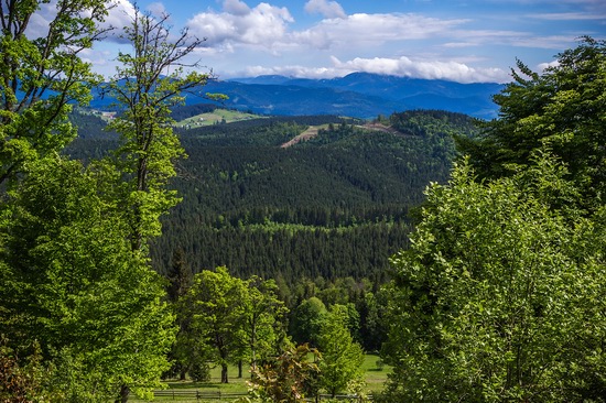 Spring in Bukovel ski resort, Ukraine, photo 24