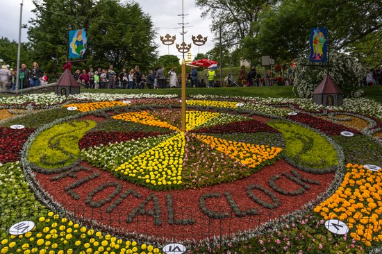 Flower-show European Ukraine in Kyiv, photo 11