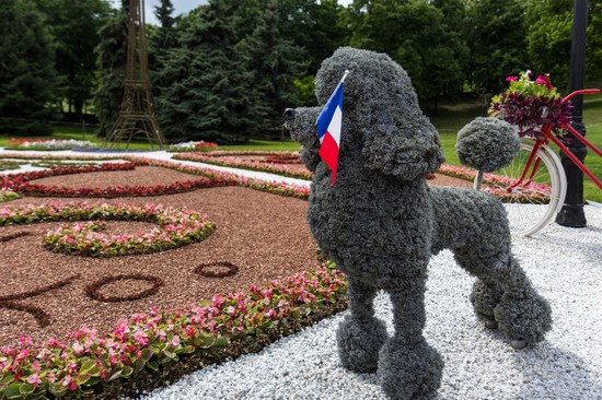 Flower-show European Ukraine in Kyiv, photo 7