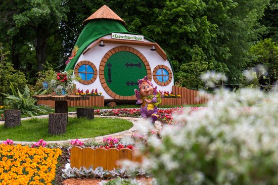 Flower-show European Ukraine in Kyiv, photo 9