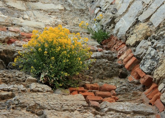 Kamenets Podolskiy fortress, Ukraine, photo 14