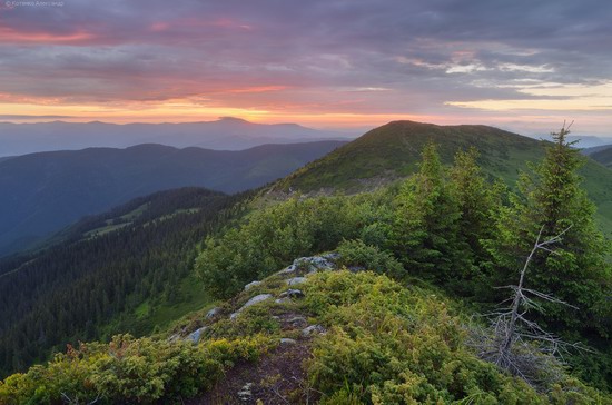 The Hutsul Alps, Zakarpattia region, Ukraine, photo 18