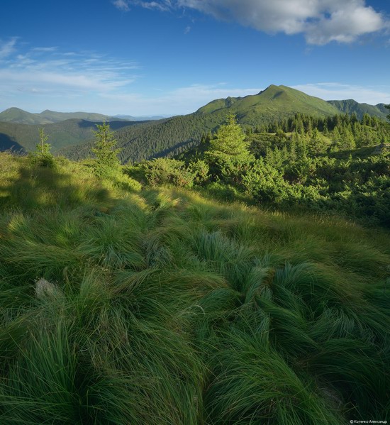 The Hutsul Alps, Zakarpattia region, Ukraine, photo 2