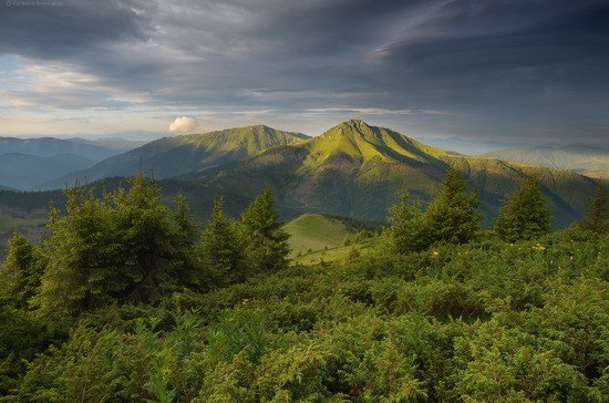 The Hutsul Alps, Zakarpattia region, Ukraine, photo 20