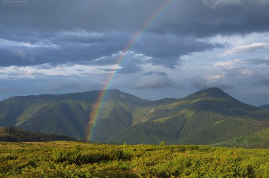 The Hutsul Alps, Zakarpattia region, Ukraine, photo 21