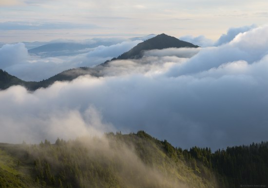 The Hutsul Alps, Zakarpattia region, Ukraine, photo 4