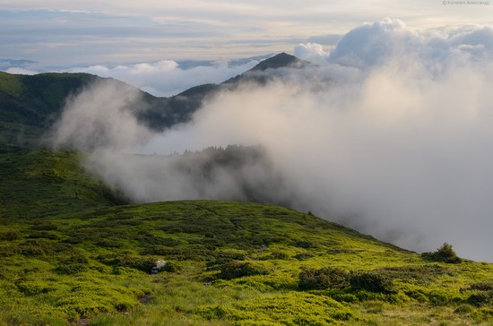 The Hutsul Alps, Zakarpattia region, Ukraine, photo 5