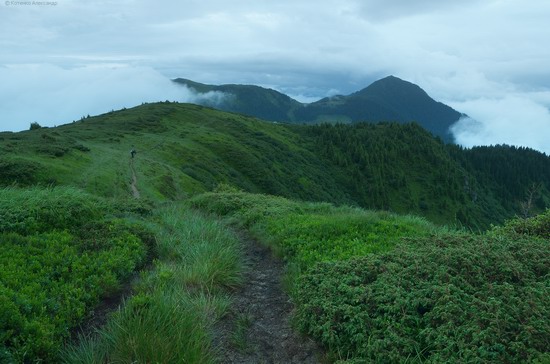 The Hutsul Alps, Zakarpattia region, Ukraine, photo 8