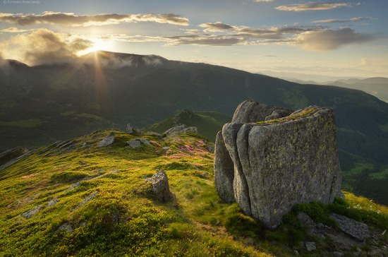 Flowering Carpathians, Chornohora, Ukraine, photo 20