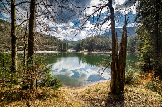 Lake Synevyr, the Carpathians, Ukraine, photo 1