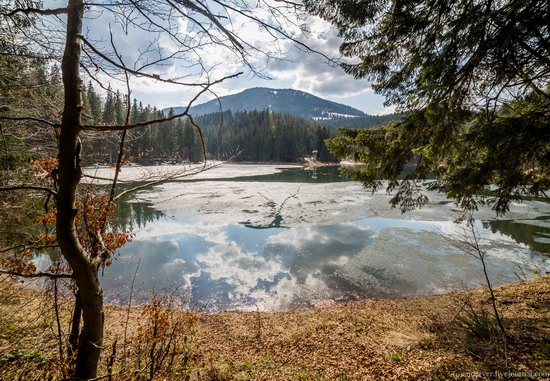 Lake Synevyr, the Carpathians, Ukraine, photo 3