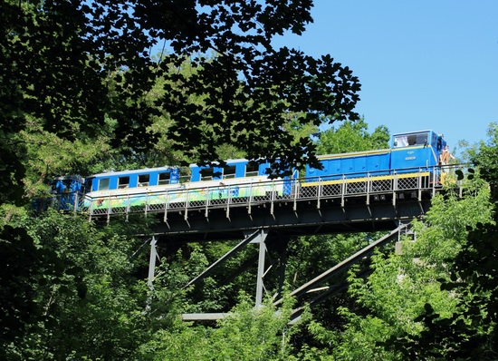 Children's Railway in Kyiv, Ukraine, photo 8