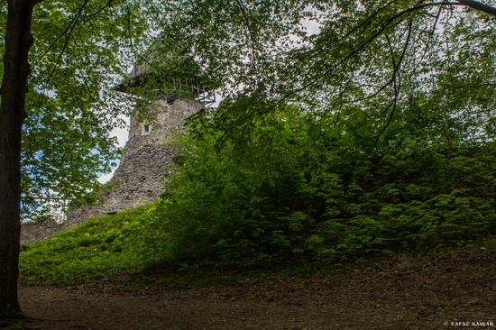 The ruins of Nevytsky Castle, Zakarpattia region, Ukraine, photo 14