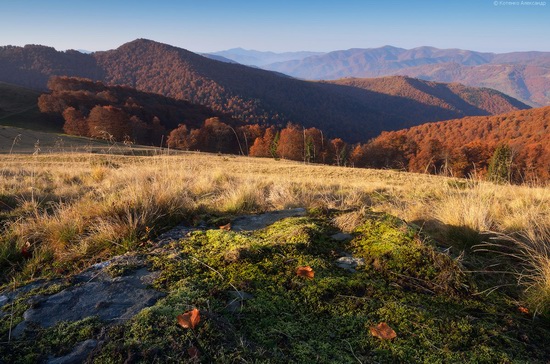 All colors of autumn in the Ukrainian Carpathians, photo 10