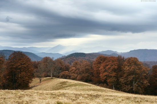 All colors of autumn in the Ukrainian Carpathians, photo 12