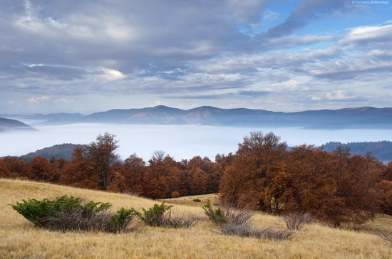 All colors of autumn in the Ukrainian Carpathians, photo 13