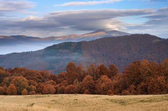 All colors of autumn in the Ukrainian Carpathians, photo 14