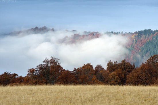 All colors of autumn in the Ukrainian Carpathians, photo 15