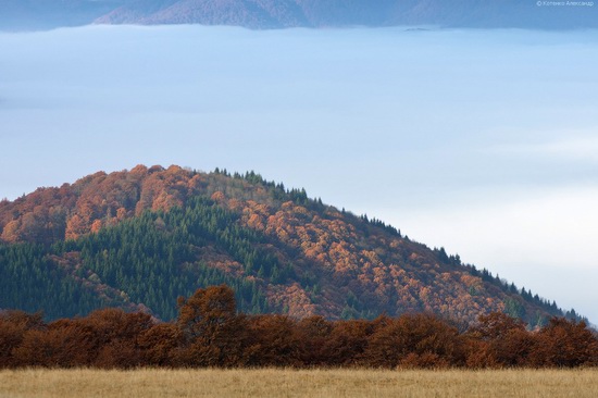 All colors of autumn in the Ukrainian Carpathians, photo 16