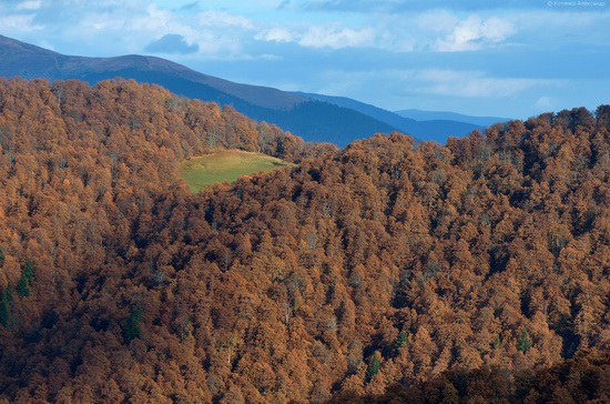 All colors of autumn in the Ukrainian Carpathians, photo 17