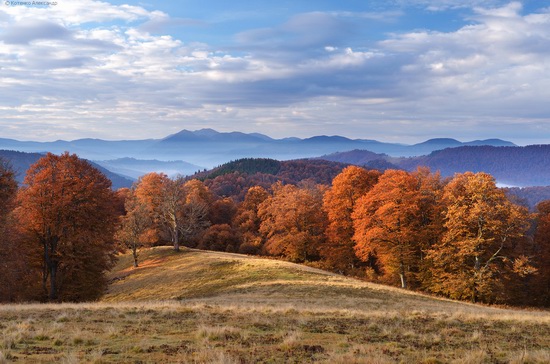 All colors of autumn in the Ukrainian Carpathians, photo 18