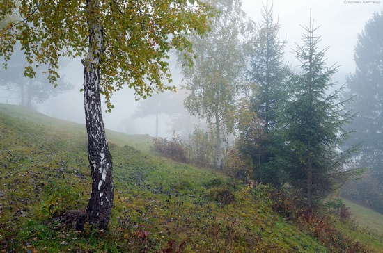 All colors of autumn in the Ukrainian Carpathians, photo 2