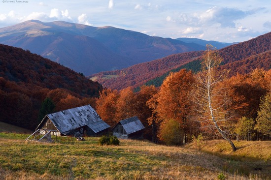 All colors of autumn in the Ukrainian Carpathians, photo 21